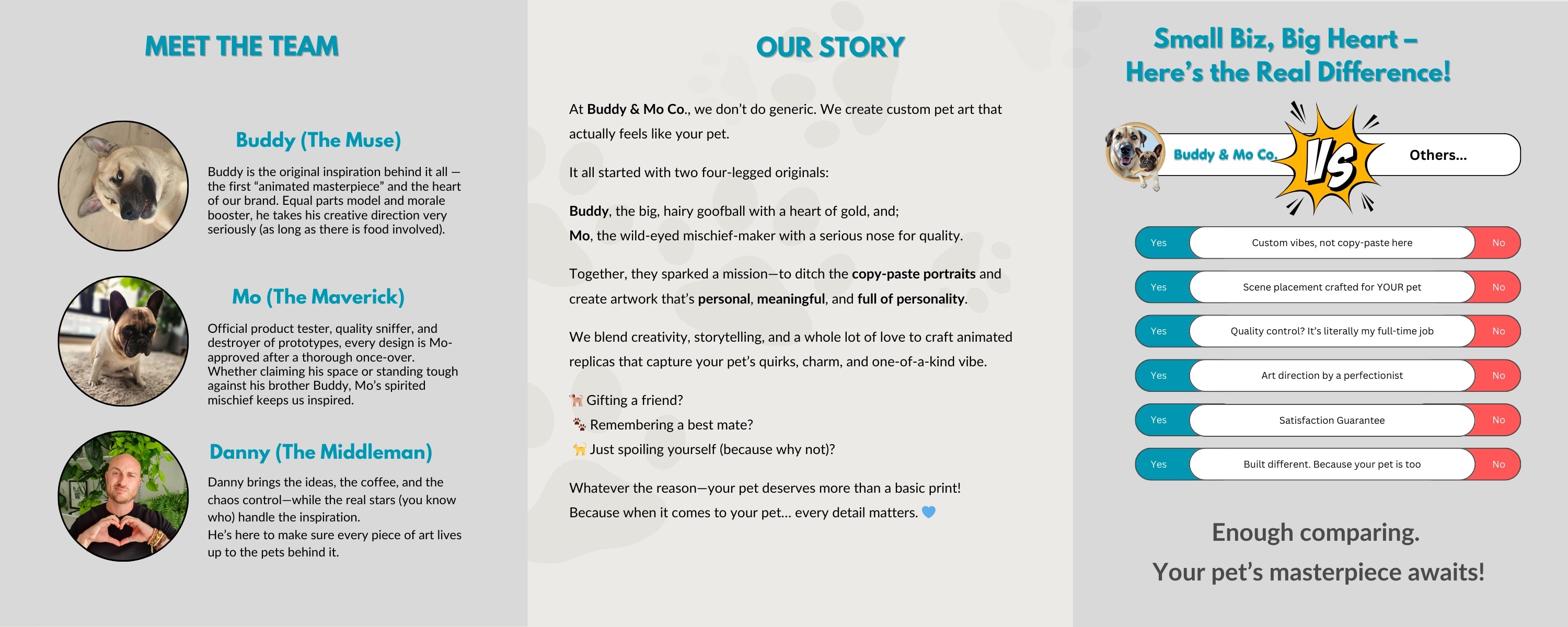 Introduction to Buddy & Mo Co. Competitive edge.
