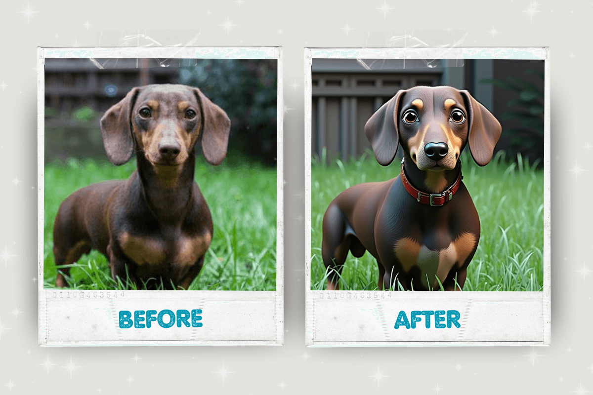 Before and after pet portrait transformation 10 – Buddy & Mo Co.