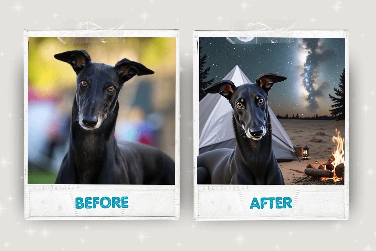 Before and after pet portrait transformation 11 – Buddy & Mo Co.