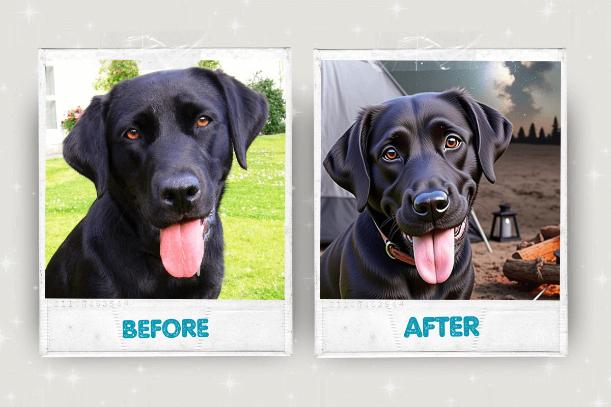 Before and after pet portrait transformation 12 – Buddy & Mo Co.
