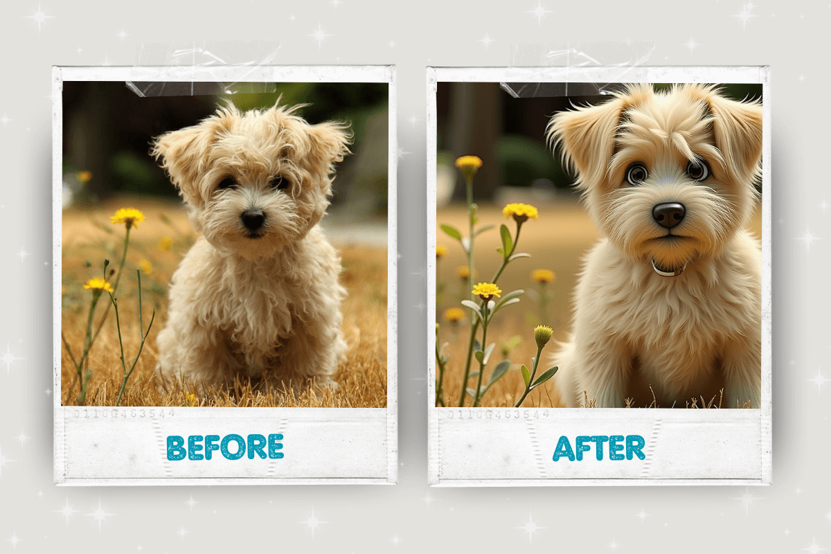 Before and after pet portrait transformation 7 – Buddy & Mo Co.