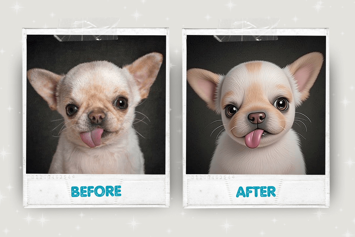 Before and after pet portrait transformation 8 – Buddy & Mo Co.