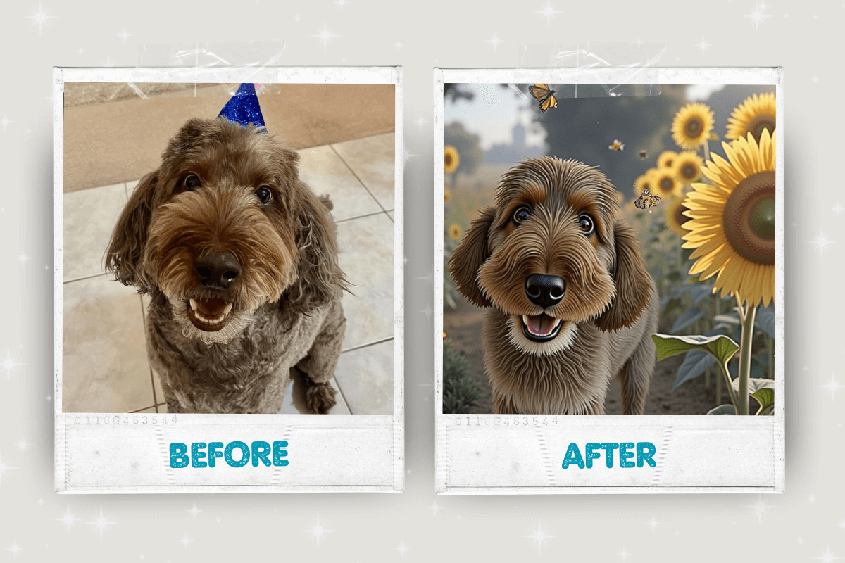 Before and after pet portrait transformation 9 – Buddy & Mo Co.